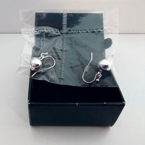 Silver Toned Drop Earrings